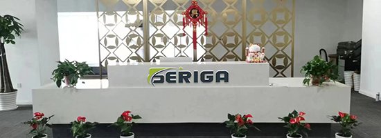 Nuevo velocímetro personalizado